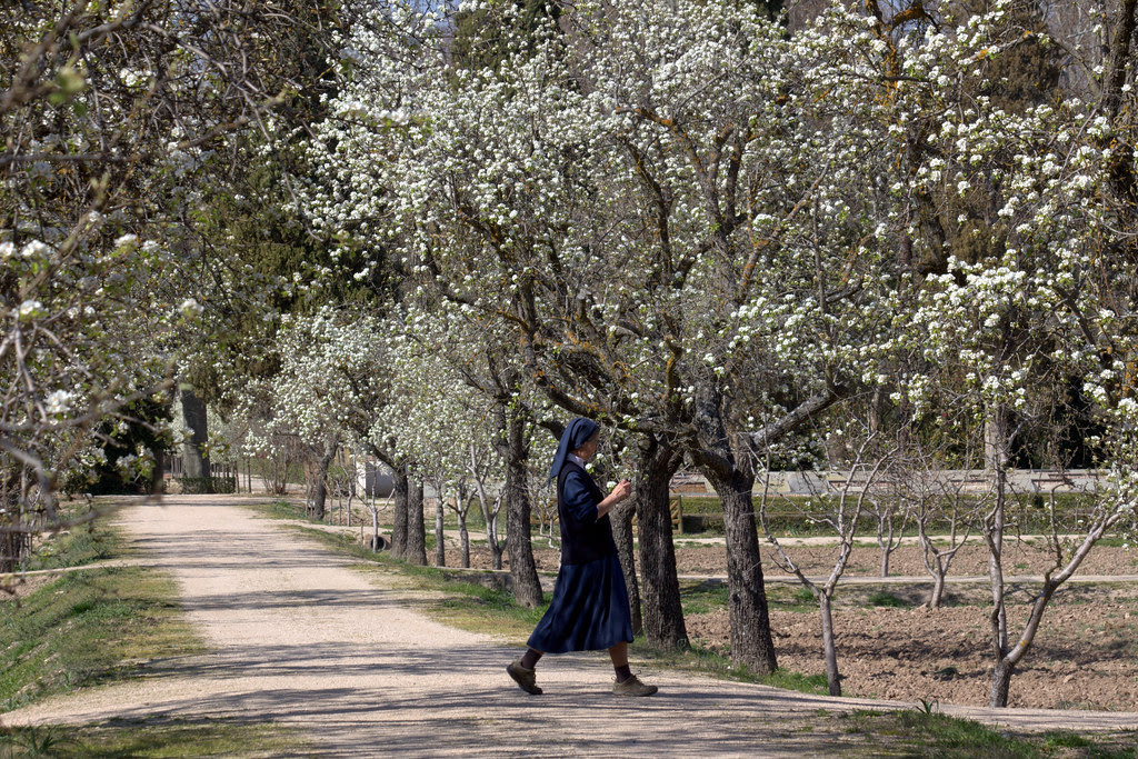 Jardines de Aranjuez a mediados de marzo