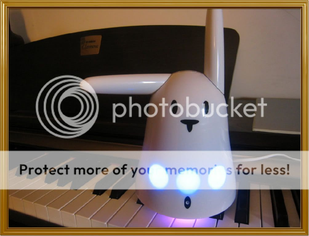 Ryvius' bunny and his piano