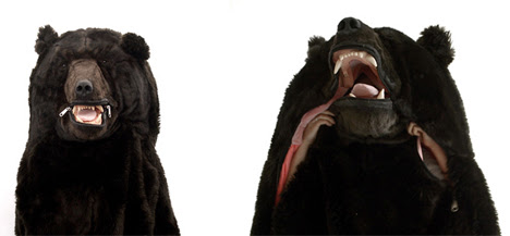sleeping bear bag