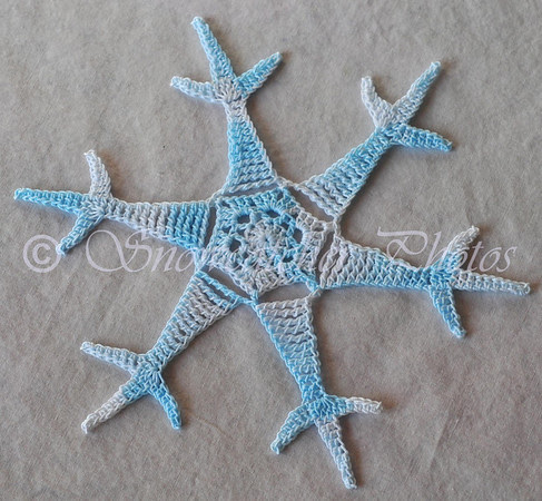 Saguaro Snowflake