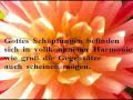 Zitate Weisheiten Sprüche Zum Nachdenken