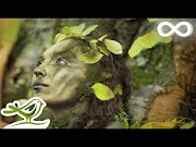 Newest 8 Hours of Relaxing Celtic Music Meditation Music Beautiful Relaxing Music  91, Video Irish Music most popullar!
