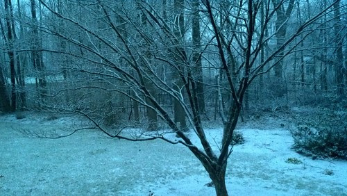 Franklin, MA: light snow