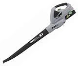 IMAGE OF Earthwise CB20018 18-Volt Cordless Blower