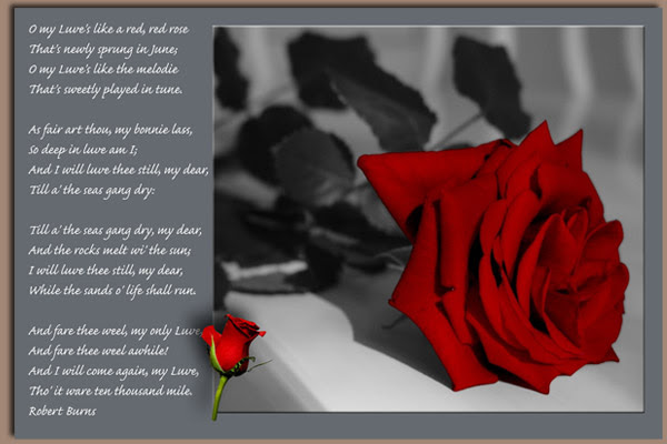 Wedding Poetry