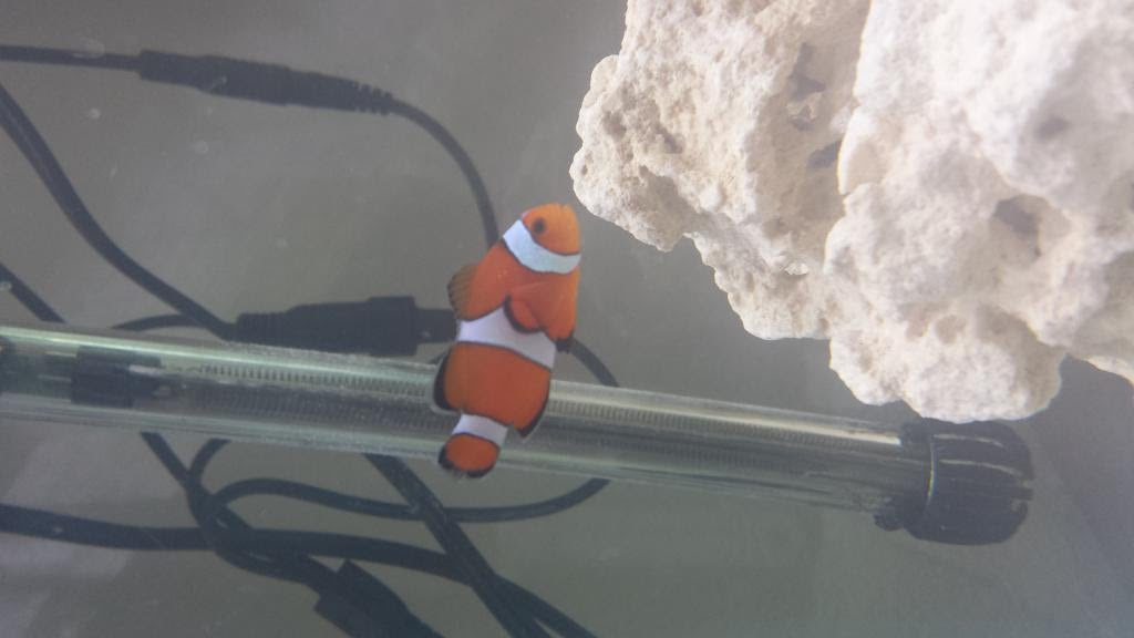 Click image for larger version Name: 20160930_161955.jpg Views: N/A Size: 41.5 KB ID: 138578