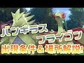 ポケモン ソード フラゲ 336755