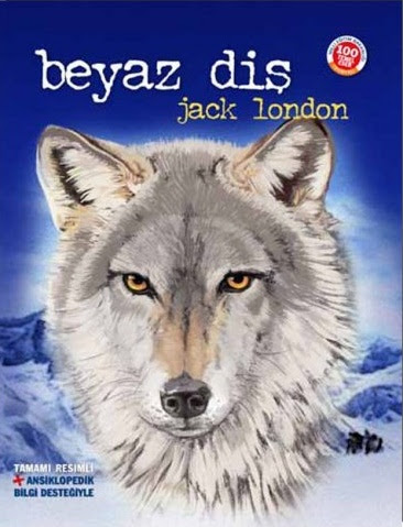 Beyaz Diş Roman Özeti 