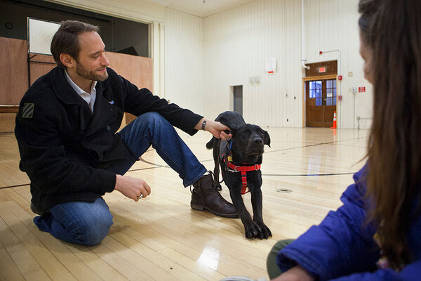 In one Colorado prison, convicts save dogs, veterans – and ...