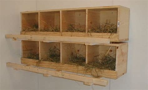 ideas  chicken nesting boxes backyard chicken coops