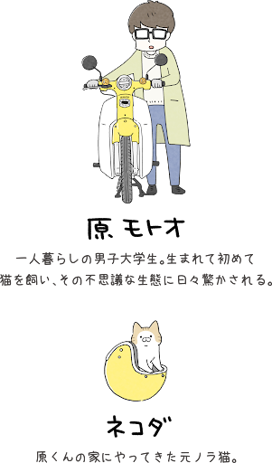 イメージ