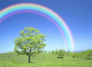 exp-rainbow-main