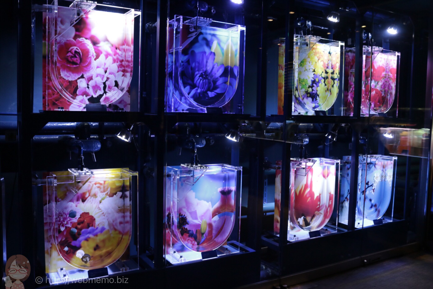A すみだ水族館の蜷川実花 クラゲ作品に大興奮 期間限定だから早く見た方がいい あかめ女子のwebメモ