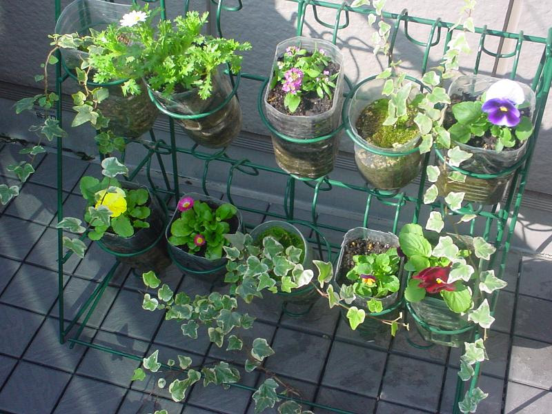 ペットボトルスタンド 激動のちーちく史 珍獣の軌跡