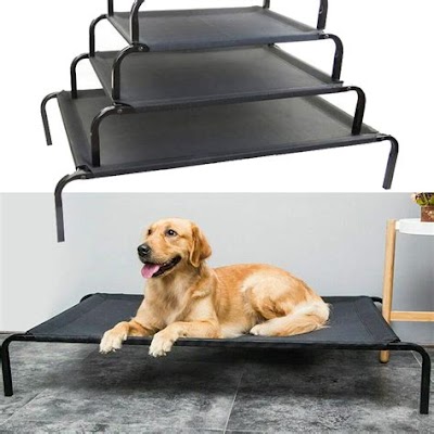 Raised Pet Bed: A Relaxing Addition To Your Home