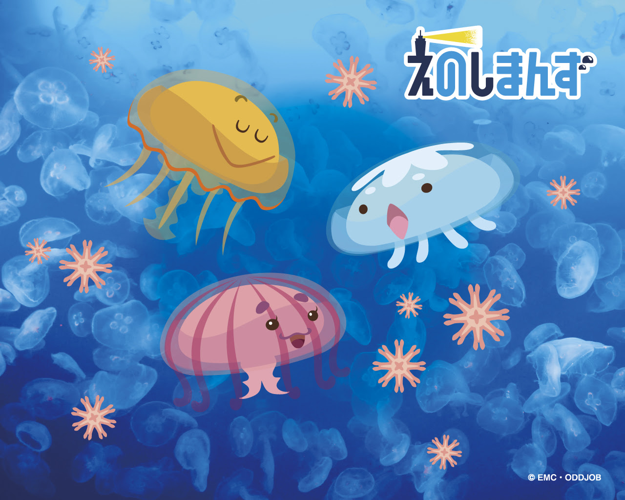 えのすい壁紙ギャラリー 新江ノ島水族館