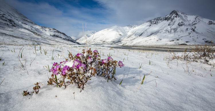 Using Juxtaposition for More Compelling Landscapes