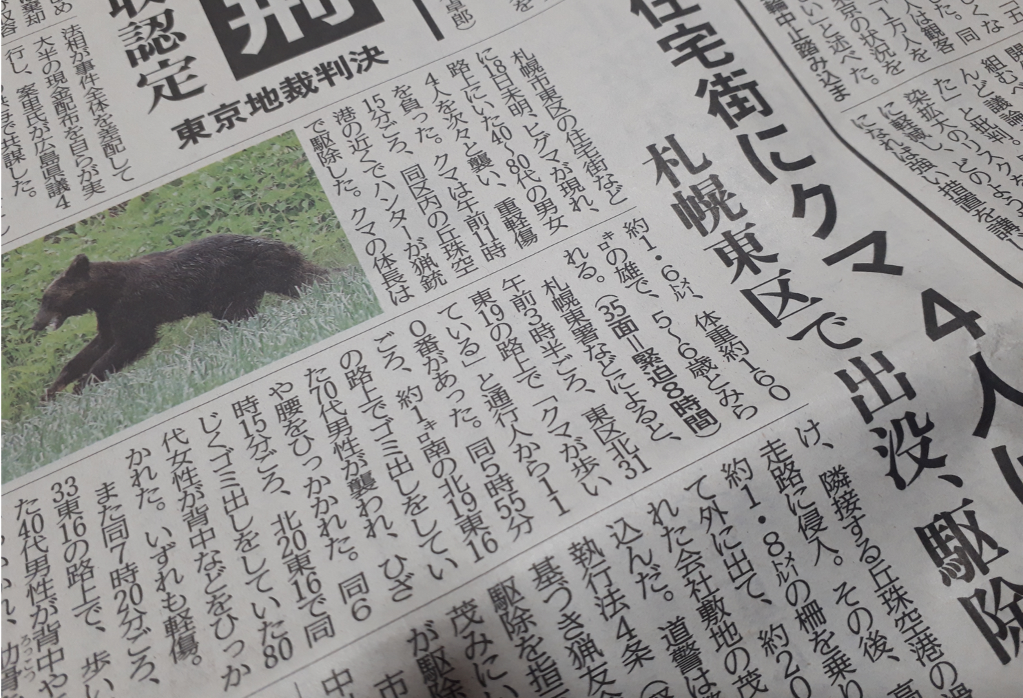 知床のヒグマ対策 公益財団法人 知床自然大学院大学設立財団