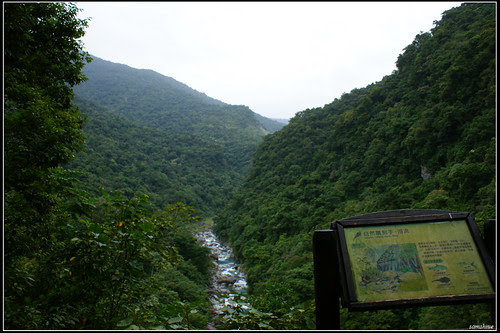 DSC03676