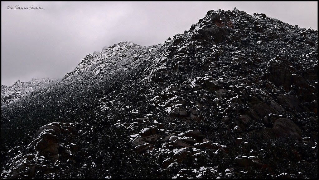 PEDRIZA INVERNAL 
