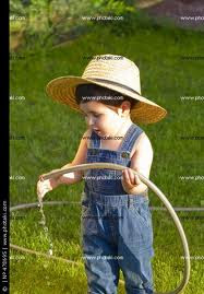 images (17)