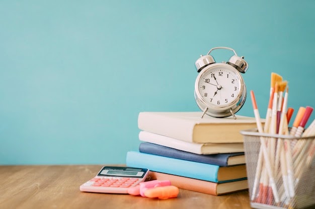 Summer plan for newbie programmers
