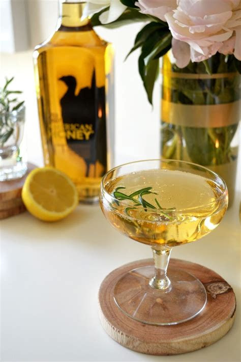 whiskey  ginger ale ideas  pinterest