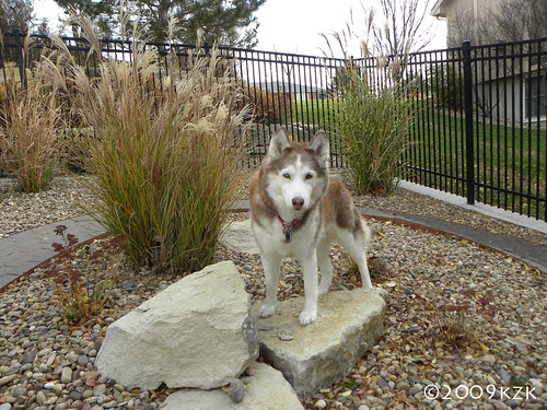 DSCN2651 Ammy