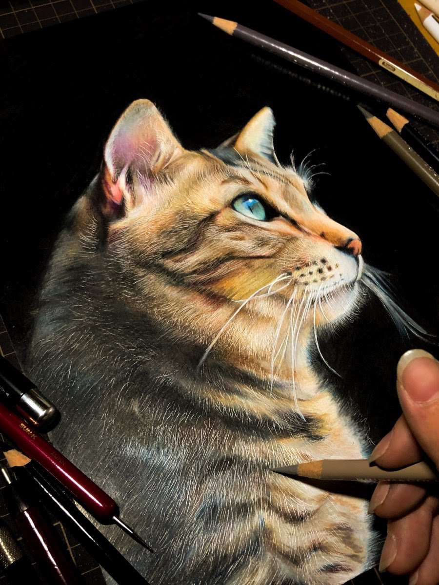 天才現る 高校生が色鉛筆で描いたネッコが ほぼ写真なんだが