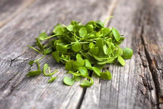 watercress, health, nutrients, nutrition, rich, healthy,