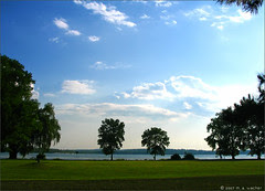 park-edit.jpg