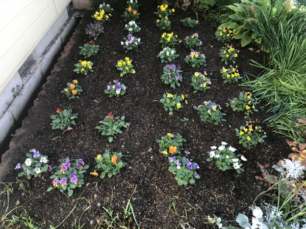 花壇の花を植え替えしました 建物修理 リフォームの開窓 栃木県那須塩原市