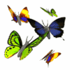 Skamu.com - The only place for Myspace icons, Orkut avatars, and profile codes