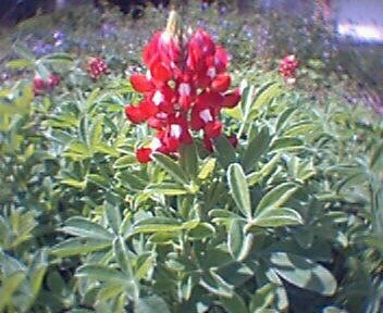 A Picture Share!