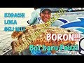Jigging : BORON & SENANGIN on light setup