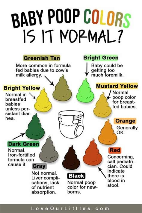  what color is poop supposed to be reneo rele