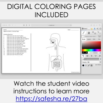 Heart coloring pages Anatomy coloring book Human body unit