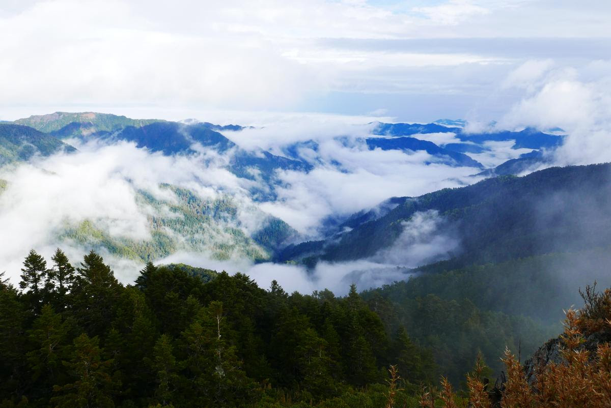 雨後的山頂,淡薄卻清澈的雲層,與雲海的感受又不盡相同。