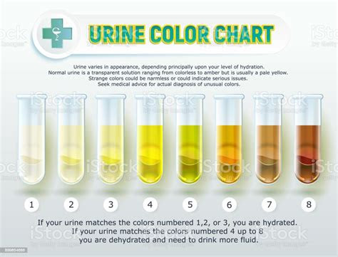  urine color chart 1 stock illustration download image now istock