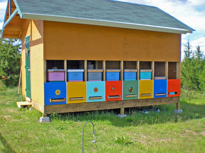 The bees get warmth from the chicken side of the coop. They also get ...