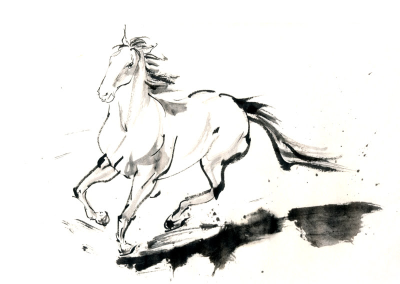 Horse Run2 Jpg