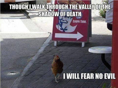 why did the chicken cross the road....to fear no evil