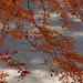 DSC04020