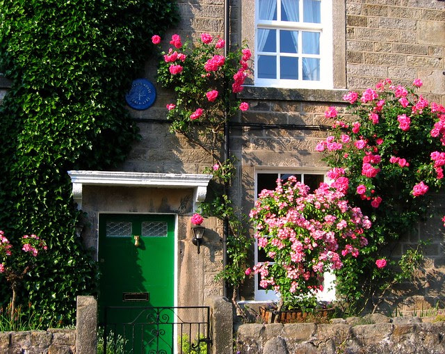 Green Door and Pink Roses in the Village of Baslow, Derbyshire