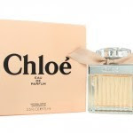 ad1e40921e186a5c6356e6abdb788861