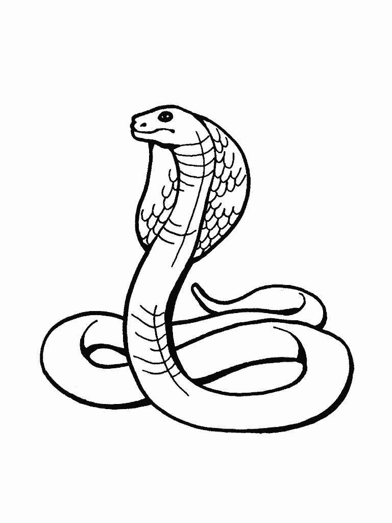 Snake coloring pages