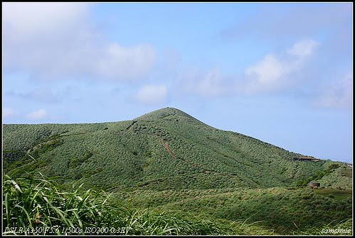 DSC02559