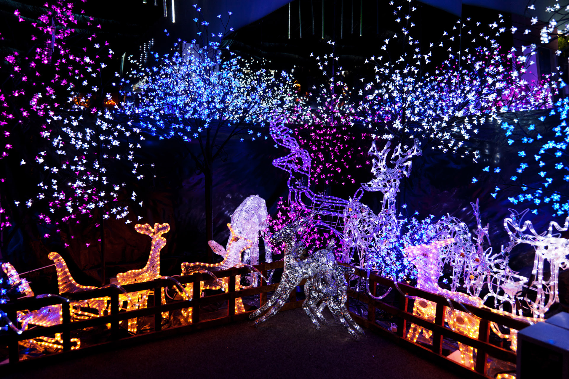Outdoor Christmas Decorating Ideas 1920 x 1280