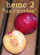 hemc 2 - las ciruelas