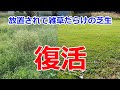 25 ++ 雑草だらけの庭 ガー��ニング 269711-雑草だらけの庭 ガーデニング